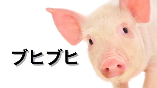 Why Nintendo Fans Are Called ‘Pigs’ (And Other Things) In Japan
