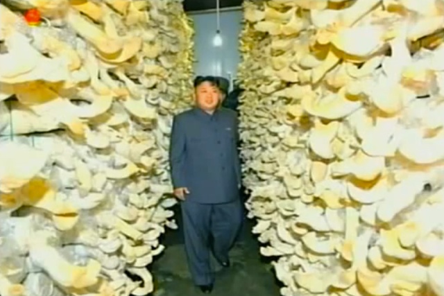 Turning North Korea Into The Mushroom Kingdom