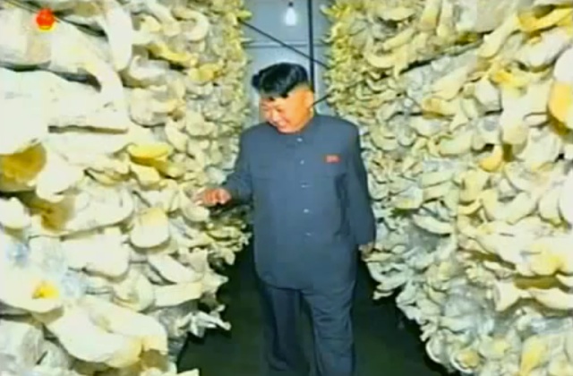 Turning North Korea Into The Mushroom Kingdom