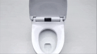 App Vulnerability Could Cause Toilet Terror