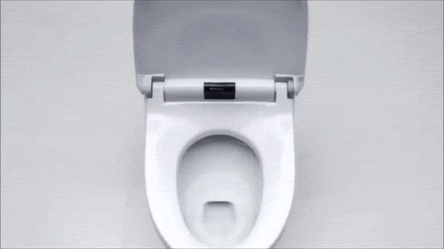 App Vulnerability Could Cause Toilet Terror