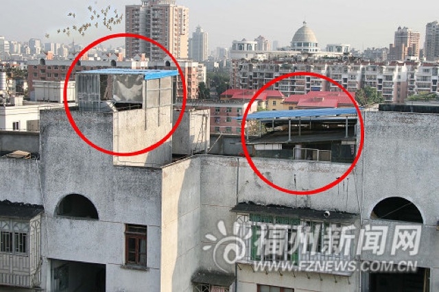 China’s Illegal Rooftop Lairs Trade Safety For Spectacle