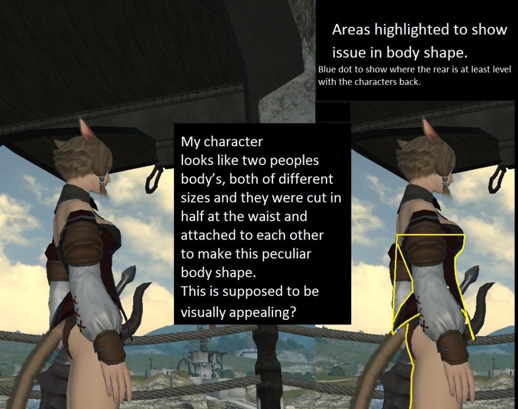 Catgirl Butts In Final Fantasy XIV Not Good Enough For Some Players