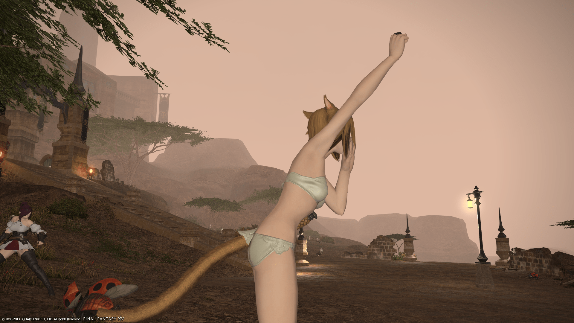 Catgirl Butts In Final Fantasy XIV Not Good Enough For Some Players