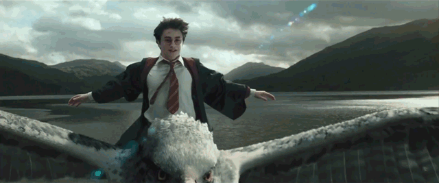 We’ve Got A Wild Theory About The New Harry Potter Movie
