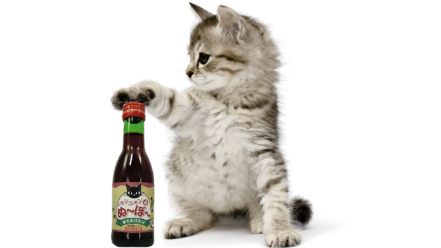Introducing Japanese ‘Wine’ For, Uh, Cats