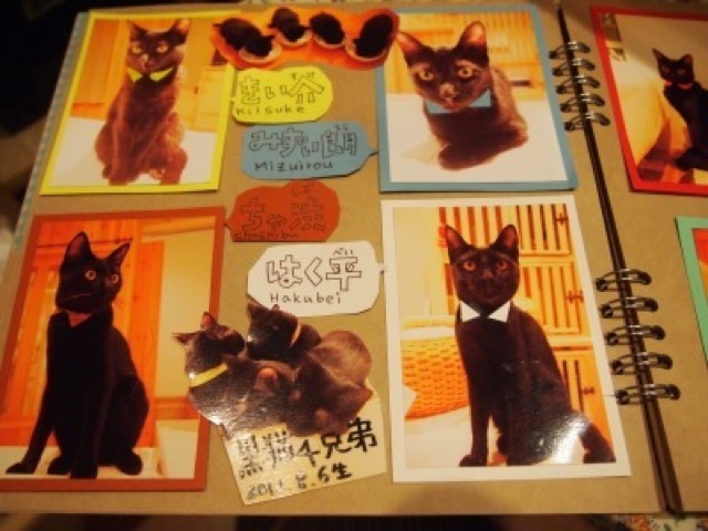 A Japanese Cat Cafe That Specialises In Black Cats