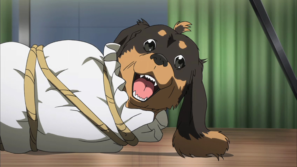 Dog & Scissors Is A Funny, Yet Flawed, Anime