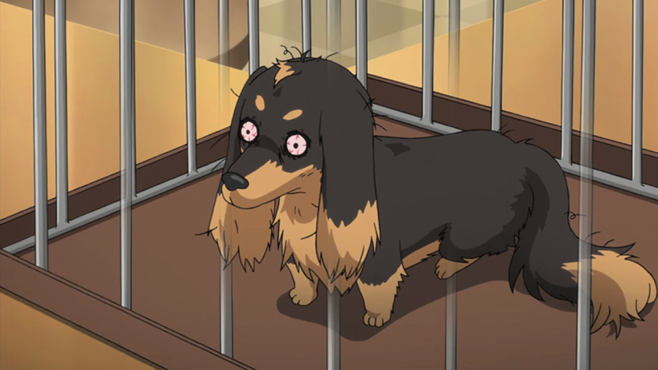 Dog & Scissors Is A Funny, Yet Flawed, Anime