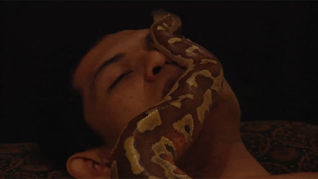 Snake Massages Look Utterly Horrifying
