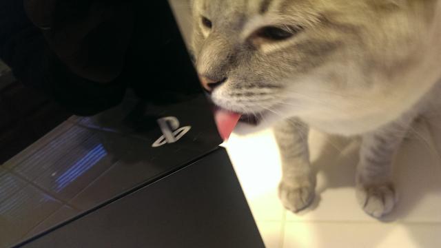 When Will This ​Shameful Act Of Licking Video Game Hardware Go Away?