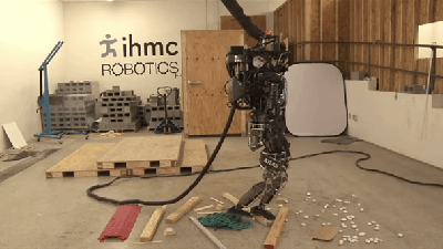 Killer Robot Trips On Stick, Falls Over