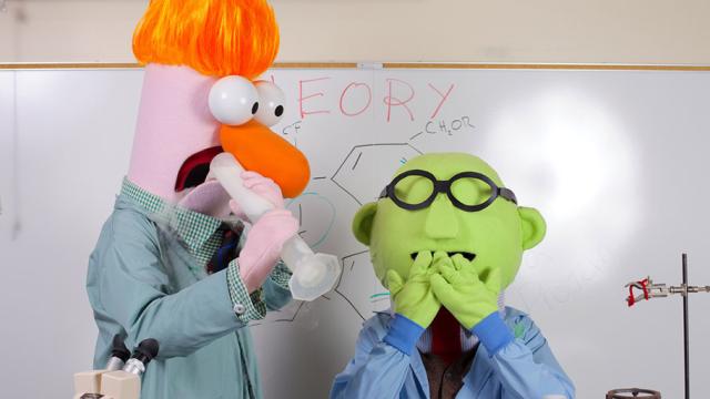 Meet The World Champions Of Muppet Cosplay