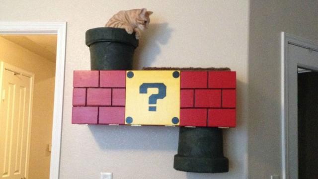 No Cat Should Be Without A Mario Warp Pipe Climbing Box
