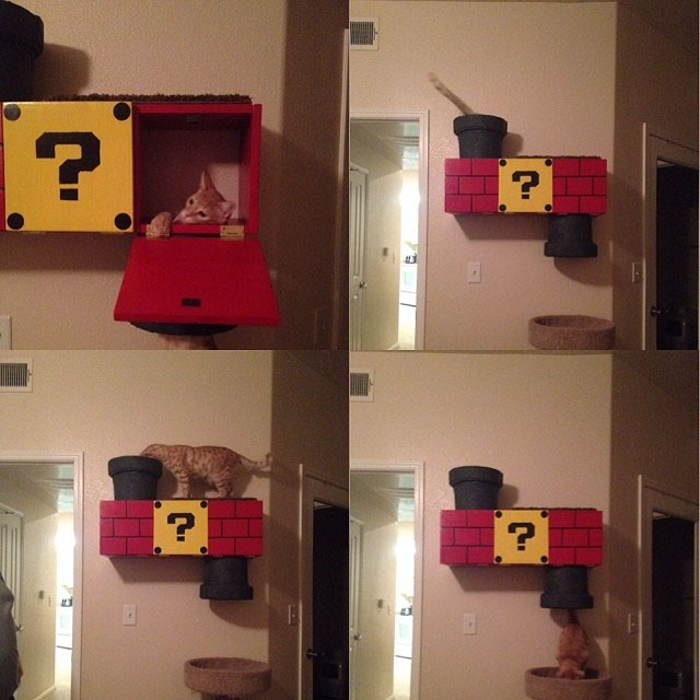 No Cat Should Be Without A Mario Warp Pipe Climbing Box