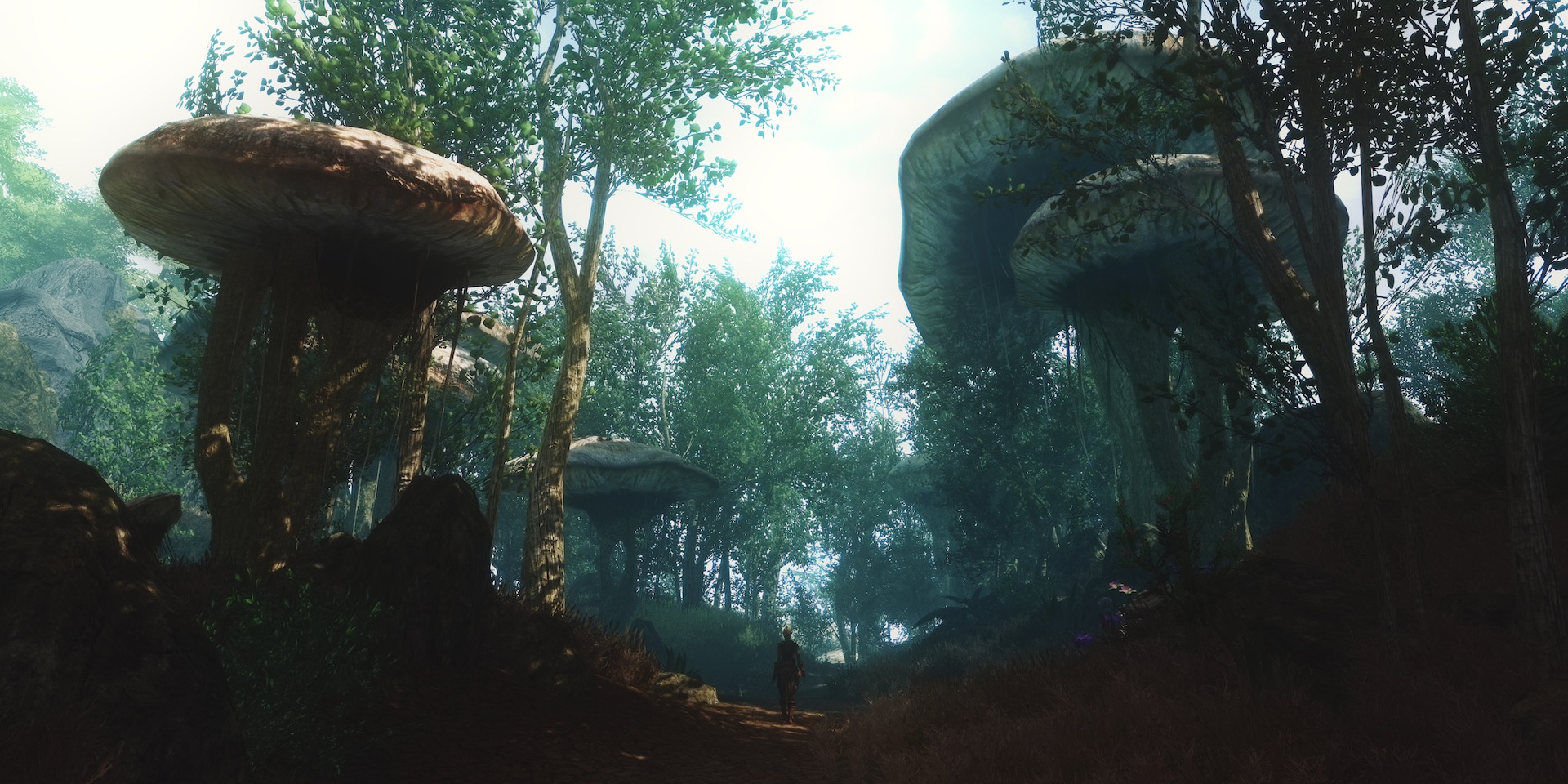 High-Res Skywind Looks Like The Morrowind Mod Of My Dreams