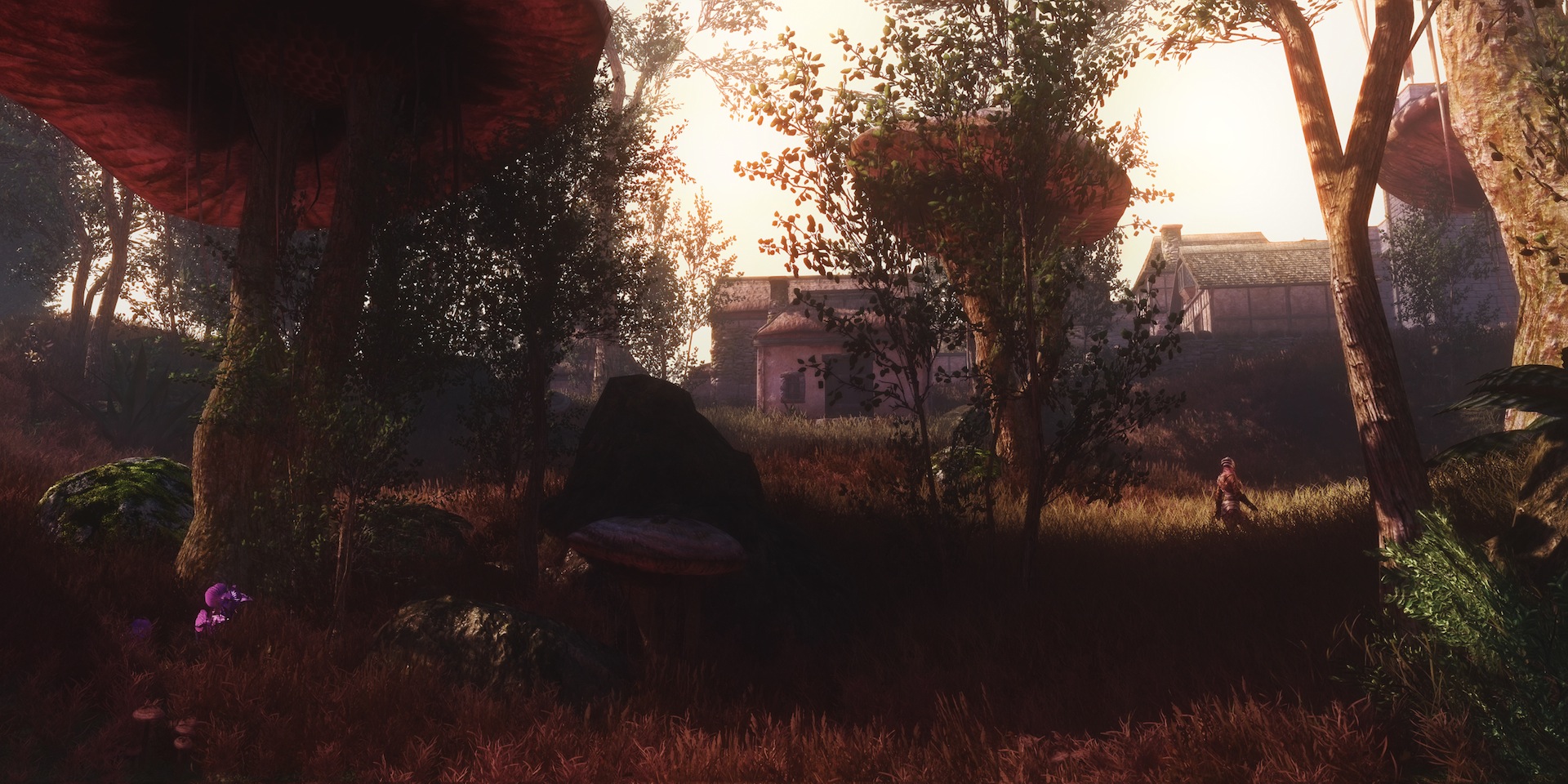High-Res Skywind Looks Like The Morrowind Mod Of My Dreams
