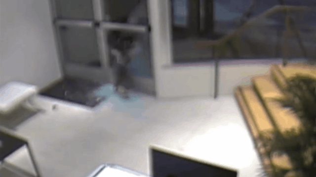 Attempted Robbery Of Game Developer Caught On Camera