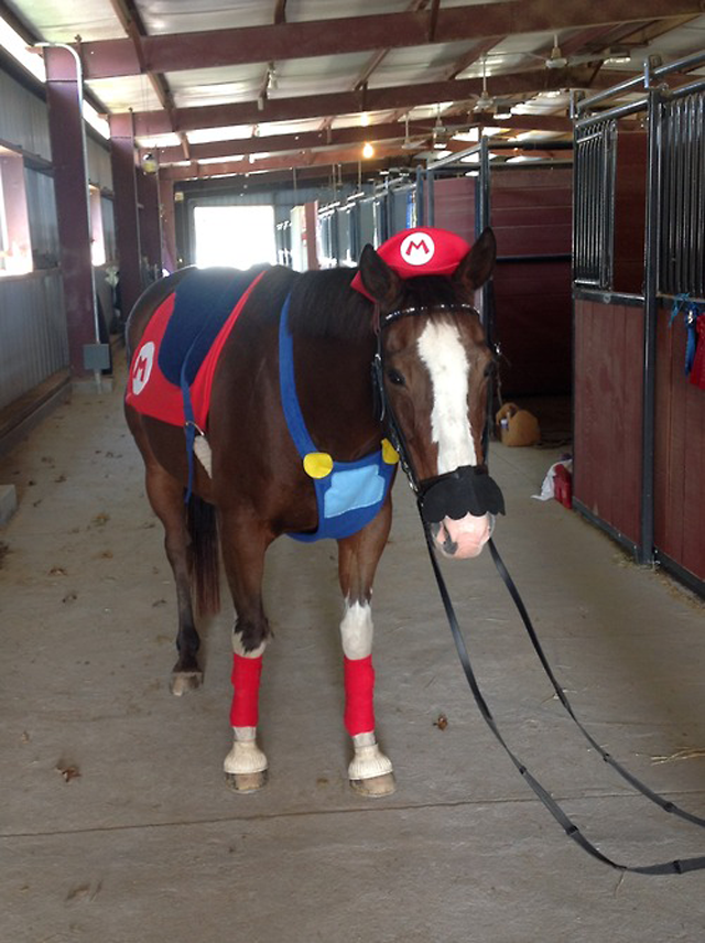 Sad Horse Is Dressed As Mario
