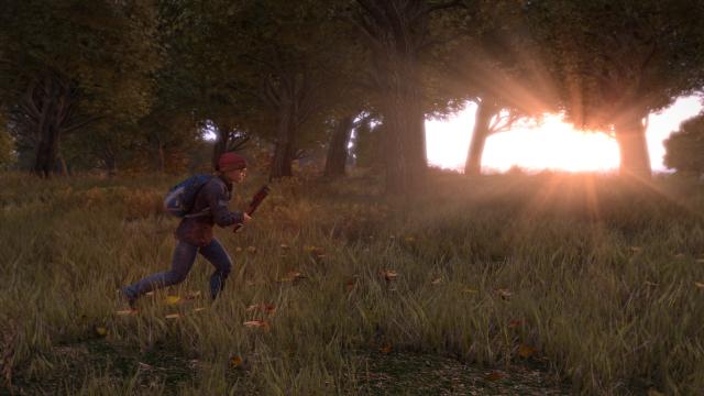Part Of What Makes DayZ Great Is That It Isn’t Finished