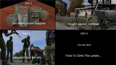 DayZ Summed Up Perfectly