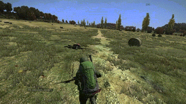 Travelling At The Speed Of Truck… In DayZ