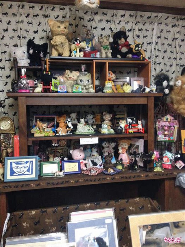 The Story Of The Cat Lady With Over 10,000 Cat Items
