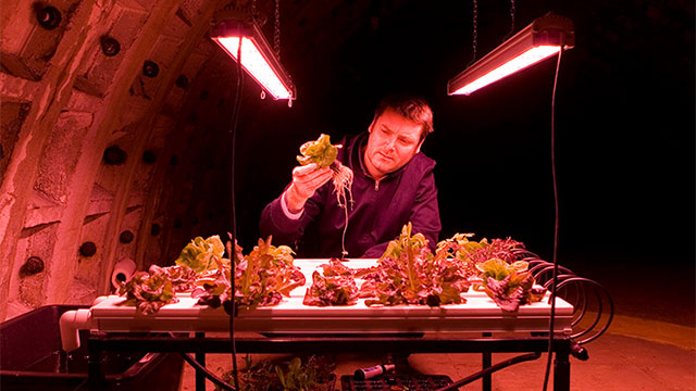 Underground Farm Is Ready For Apocalyptic Salads