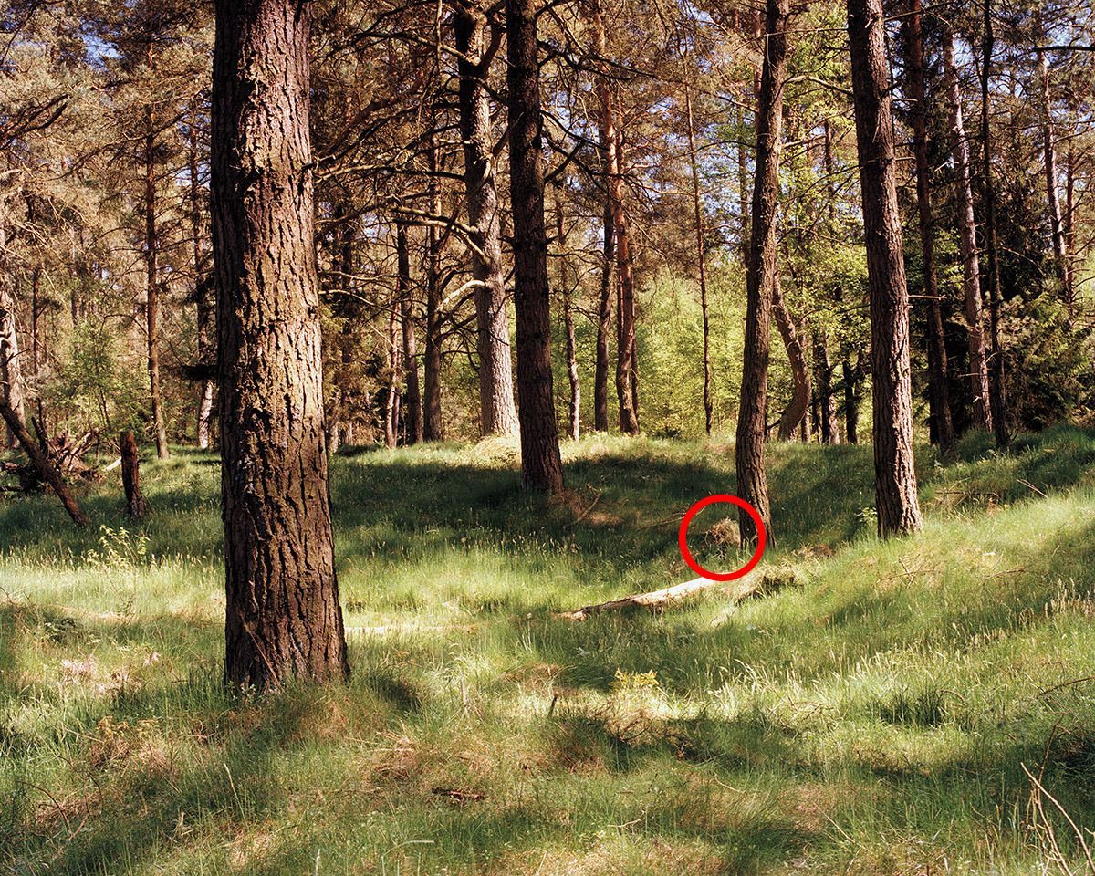 See If You Can Spot The Camouflaged Snipers In These Pictures