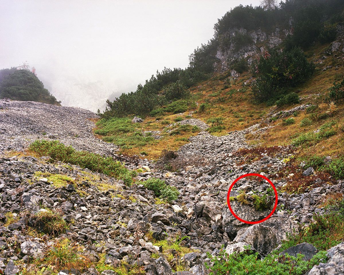 See If You Can Spot The Camouflaged Snipers In These Pictures