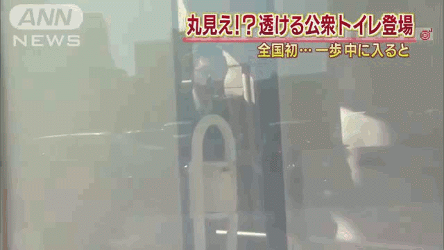 Public Toilet In Japan Accidentally Exposes Your Most Private Moments