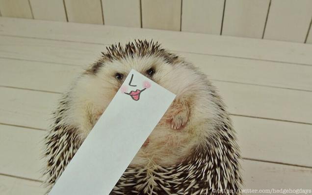 Hedgehog Impersonates Pikachu (And More)