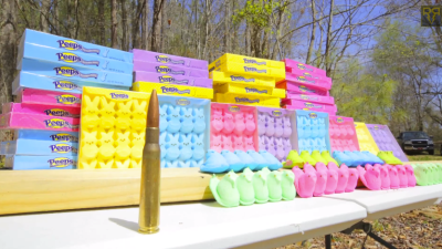 How Many Peeps Can A Rifle Shoot Through?