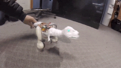Pets Will Hate This Cheeky Dino Robot