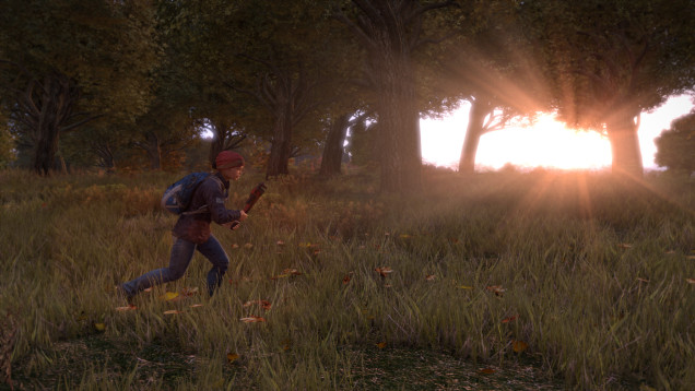 DayZ Standalone Has Already Sold Two Million Copies