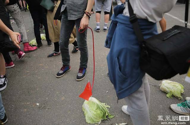 No, China’s Depressed Youth Do Not Keep Cabbages As Pets