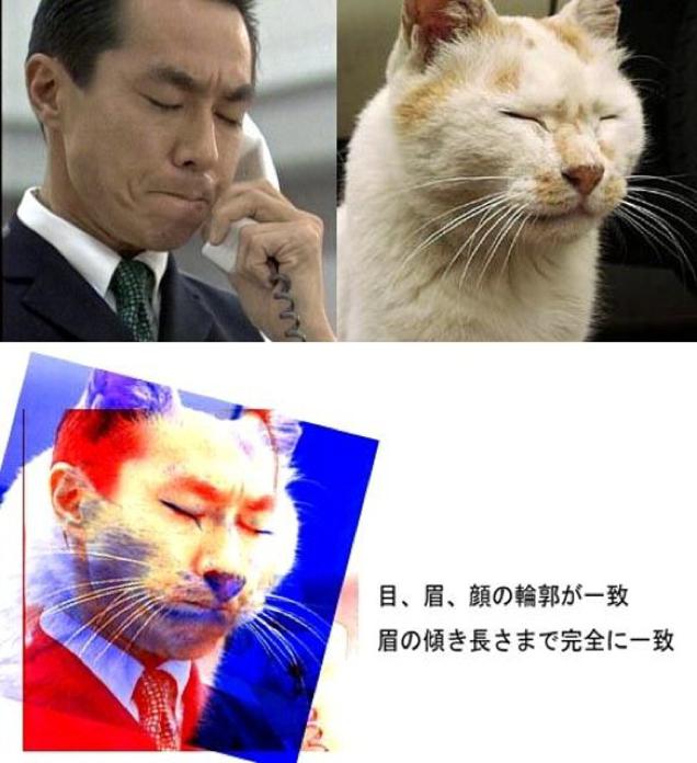 Japan’s ‘Totally Looks Like’ Meme Is Totally Amusing