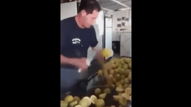 Real-Life Fruit Ninja Is Very Dangerous With A Knife