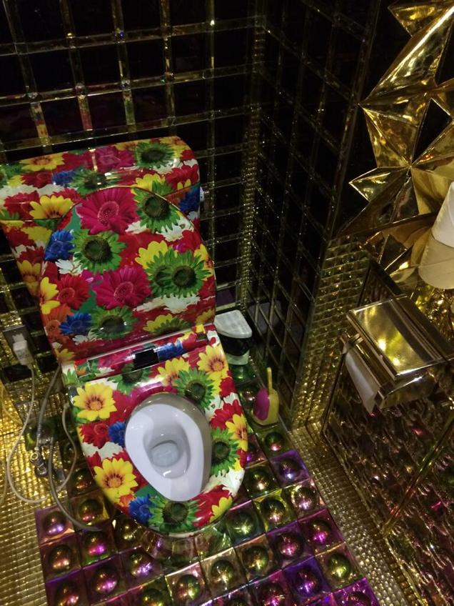 The Most Amazing Places To Pee And Poop In Japan