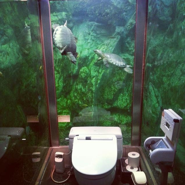 The Most Amazing Places To Pee And Poop In Japan