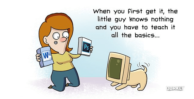 How Owning A PC Is Kind Of Like Owning A Dog
