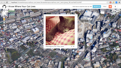 Someone’s Figured Out Where One Million Internet Cats Live
