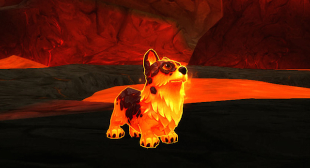 Blizzard Sets Corgis On Fire For WoW’s 10th Anniversary