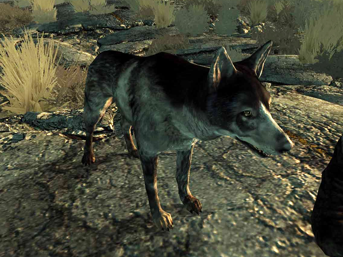It’s National Dog Day. Let’s Celebrate Gaming’s Greatest Canines.