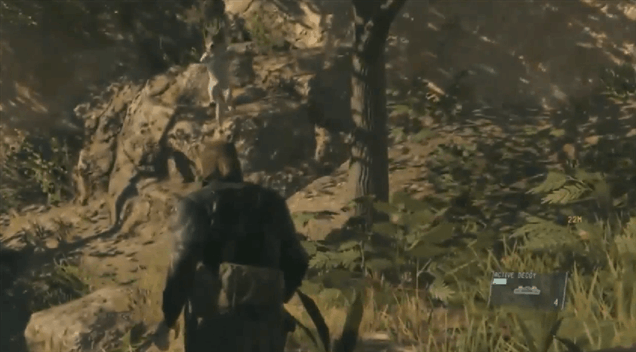 Snake’s Pet Wolf Can Die In Metal Gear Solid V