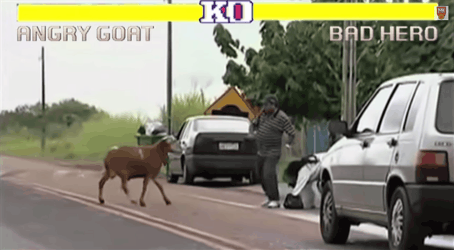 Street Fighter, Improved With A Furious Goat