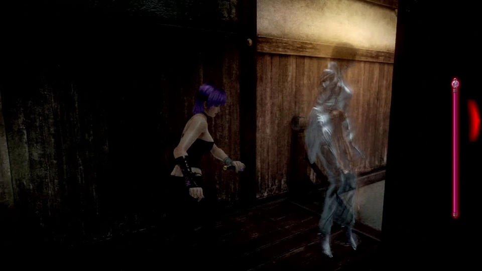 You Got Your Dead Or Alive In My Fatal Frame