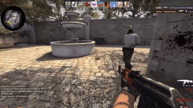 Counter-Strike’s Zombie Chicken, In Action