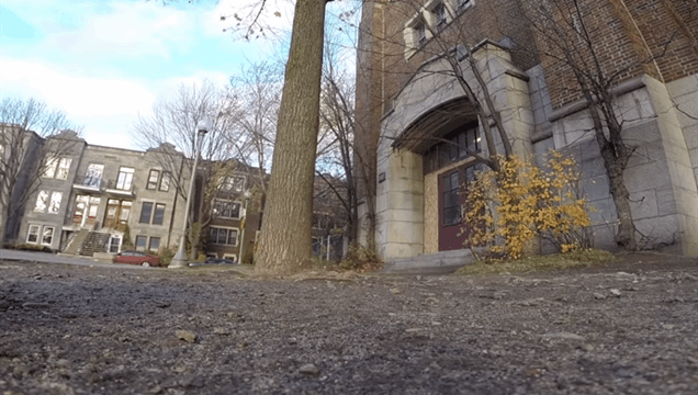 Squirrel Steals Man’s GoPro, Because Squirrels Are Jerks