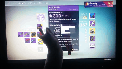 Cat Doesn’t Know Why It Keeps Playing Destiny Either